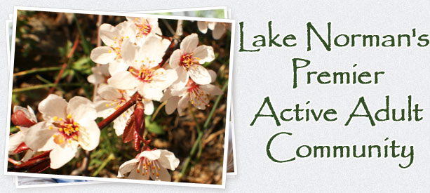 Lake Norman's Premier Active Adult Community